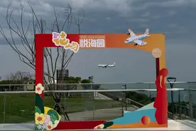 啥情况？去福建“拍飞机”在年轻人中火了！图片