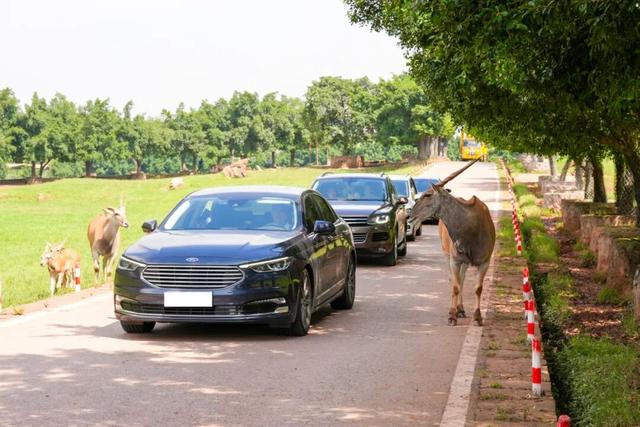 亲~~免费游乐和乐都的机会来了！