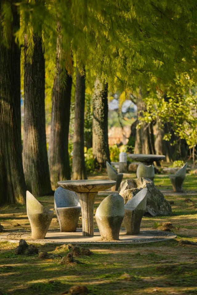 东湖秋日图鉴③｜磨山秋笺：一叶一诗，帧帧藏秋韵