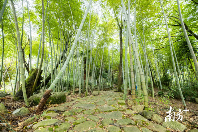 速mark！连州再添国家3A级景区，周末就去→