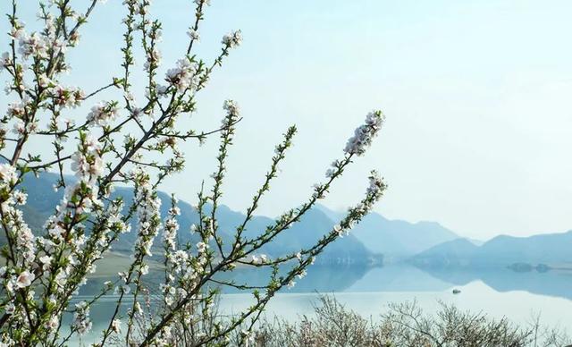 乘着高铁游白山 | “百区百景”打卡攻略之龙山湖景区