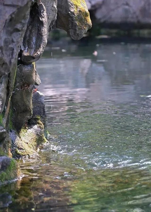 济南五龙潭公园月牙泉“复苏”啦