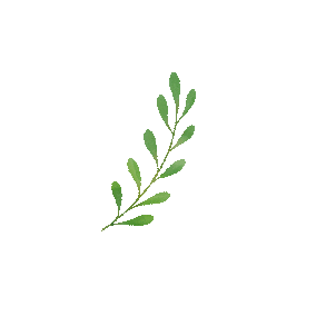 一天看球，一天逛吃！湛江文旅送你一份“超会玩”攻略→