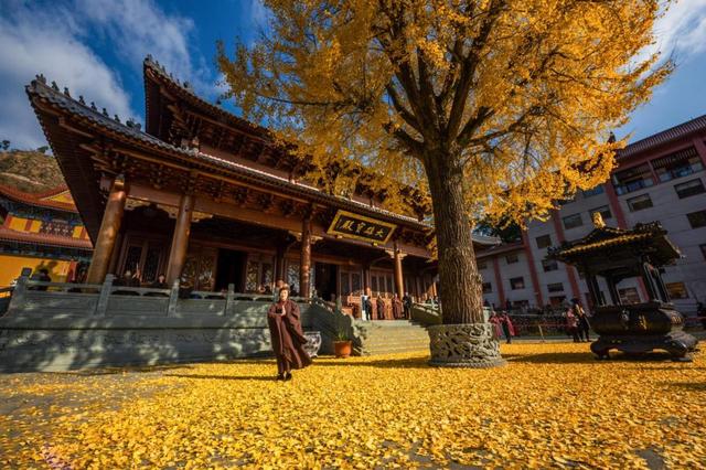 世界旅游目的地福建宁德：文旅大会签约68.27亿元项目，擘画山海新图景