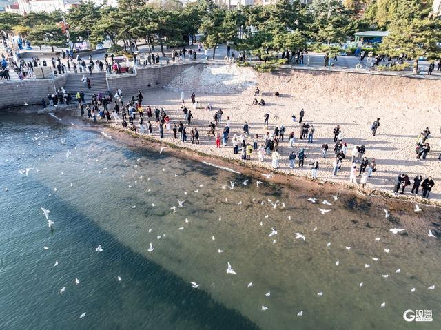 青岛冬日的海，是这座城市的浪漫注脚