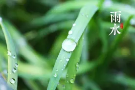 雨水至，春耕忙！这些农事要点要记牢图片