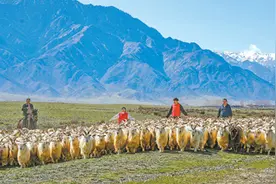 志愿服务牧民转场图片