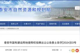 挂牌！泰安发布上高片区国有建设用地使用权出让公告图片