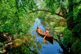 中国游客赴德国旅游规模已恢复近五成，深度游及定制游受青睐图片