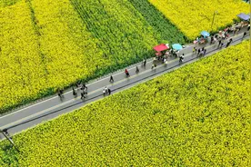 市州观察丨泸州：用一路繁花点亮“春日经济”图片