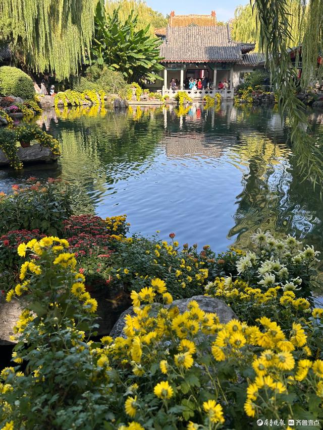 金秋菊展游人如织