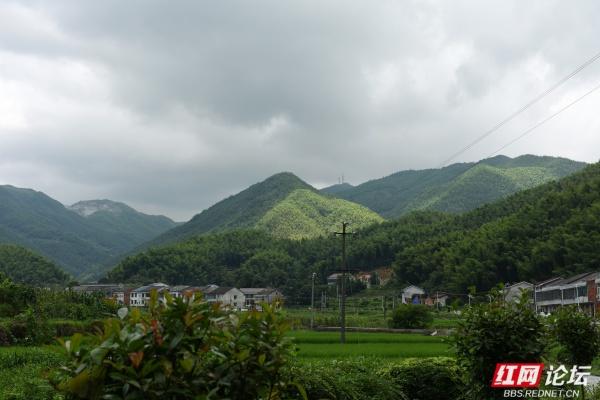 【高清湖南】玉池山居图：在青山绿水田园间，与美好相遇