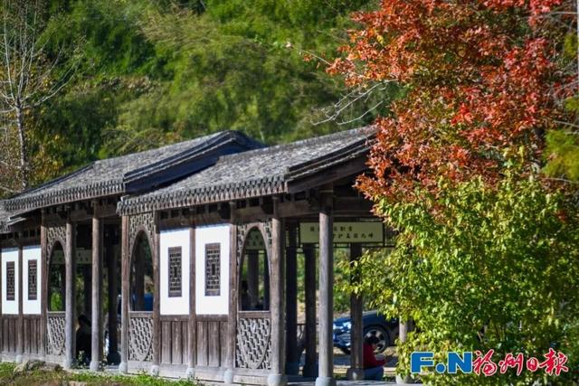 颜值巅峰！福州这个宝藏村落，正上演年度色彩盛宴！