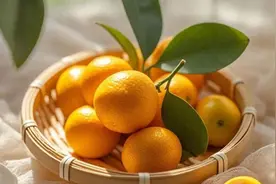 甲流后多吃金橘图片