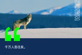 靠拼多多赚最多钱的投资人图片