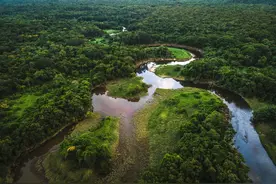 这就是巴西！图片