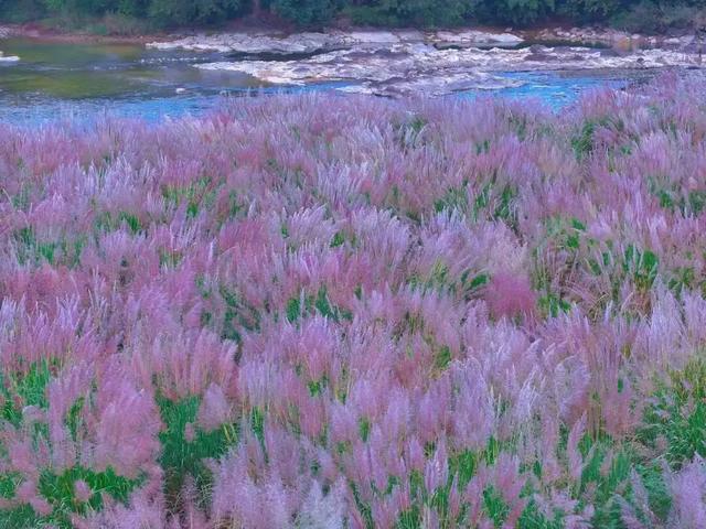 属于福安人的第一场“雪”来了！