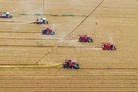 何言：新农人 新农技 新农田——“三夏”新观察图片