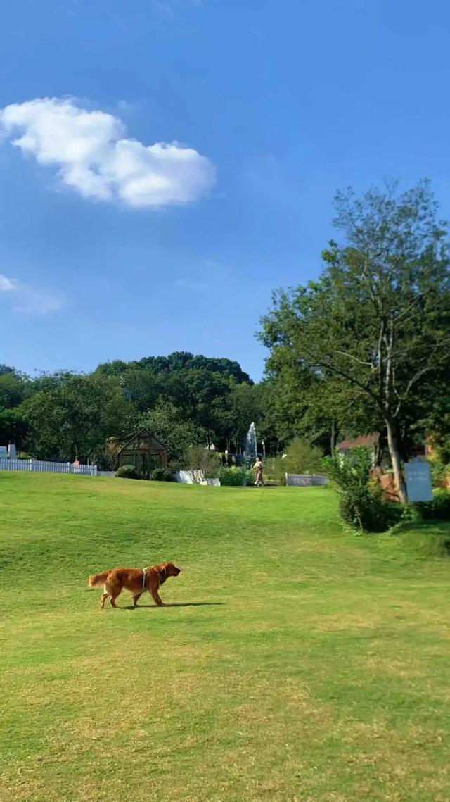 在苏家理想村，一场乡野游乐集正等你赴约