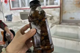 山东第一辆顺丰无人快递车落地济宁，助力金蝉畅销全国图片