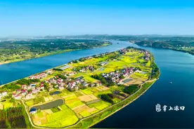 观花海 放纸鸢！千余游客畅游株洲最大江心洲图片