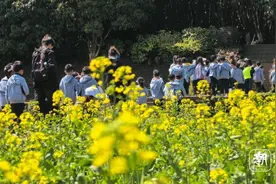 直冲30℃，这个周末“初夏体验”要来了图片