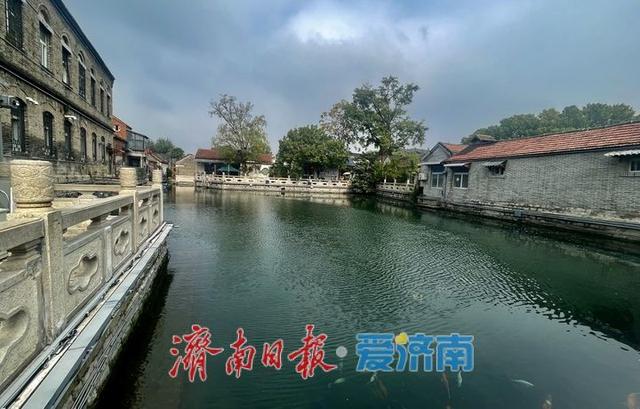 一年四季 泉在济南丨秋染泉池 静美如画