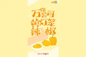 创意海报｜陵水黄灯笼辣椒的N种吃法图片