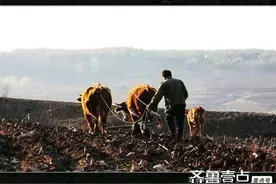 散文｜写在父亲的墓前图片