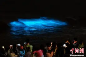 福建平潭“蓝眼泪”爆款IP如何变“流量”为“存量”？图片