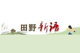 田野新语｜由学生吃自带饭会引起交叉感染想到的图片