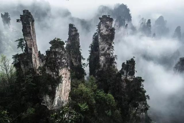 睡着专列看山水，坐着邮轮出国门！ 11月，跟着半岛晨报专属团畅游中越15日