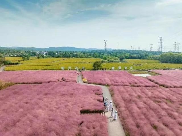 如果你要写溧水的秋天……（文末有福利）