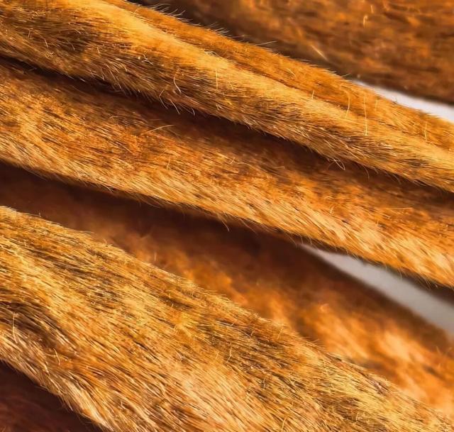 在华为Mate X7上，瞥见折叠屏进化的终极答案