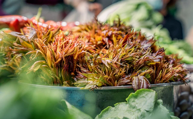 明确了！淄博的春天这样玩，过瘾