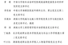 点赞！长沙航院教师获评“湖南省教育系统优秀党务工作者”图片