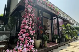 10元一把！鲜花卖出白菜价！来逛逛闵行这些浪漫花店图片