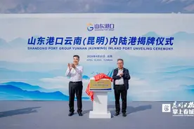 山东港口云南（昆明）内陆港成立 打造大宗橡胶仓储交易物流集散中心图片