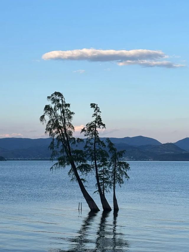 没去北上广的那些人，后来怎么样了
