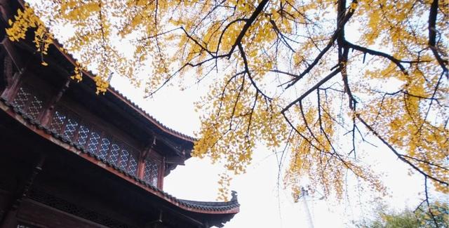 邂逅如画江西的小“杏”运