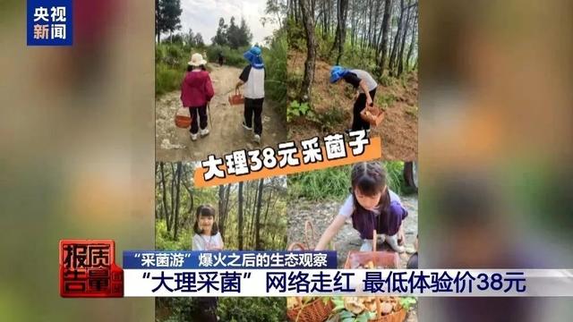 组团“大理采菌”，不是生态游正确姿势 | 新京报快评