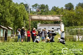 台湾青年到武汉黄陂 续写两岸一家亲图片