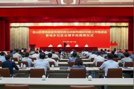 刘健：为上海基层党建创新提供金山样本！图片