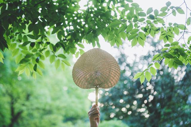 儿时的夏天