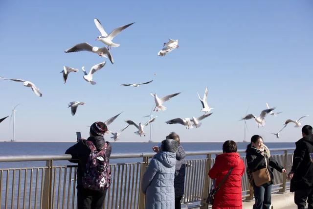 一起出发，从北京坐着火车去看海鸥！