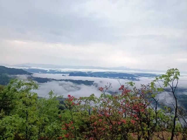 最新版！！资源县宝藏民宿 & 酒店，解锁你的心仪旅居地