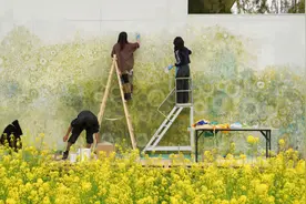 在菌丝与节气共舞的智慧中，步入艺术的“融合之地”图片