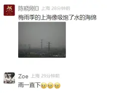 头皮发麻！上海人家里居然也有蜈蚣？比白蚁更可怕，被咬后一阵钻心的痛图片