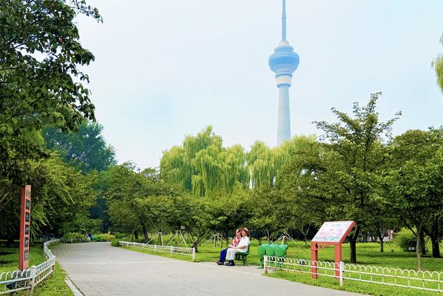 绿色阅兵观礼椅“上岗”6家北京市属公园，周末来打卡！