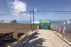 乡村振兴看内蒙古丨果蔬四季飘香，富裕路越走越宽图片